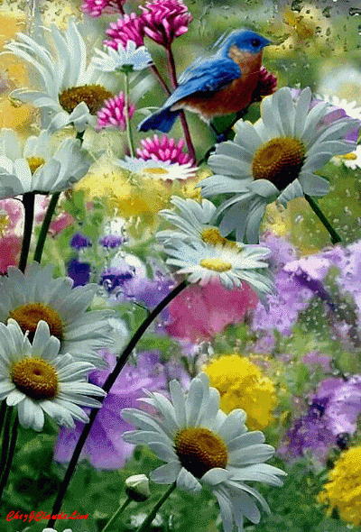 DANS QUELQUES JOURS LE PRINTEMPS!!!!!!!!!!!!!!!!